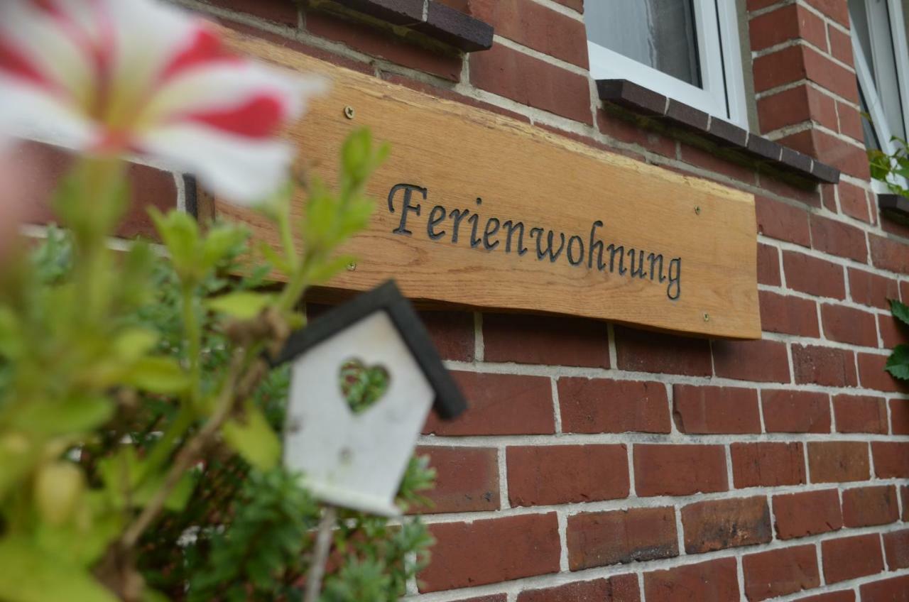 Fewo Deichblick Wischhafen Exterior photo